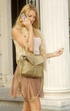 th_91335_celebrity_paradise.com_TheElder_BlakeLively13_122_337lo.jpg