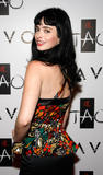 th_71494_celebrity-paradise.com-The_Elder-Krysten_Ritter_2009-10-03_-_The_TAO_And_LAVO_Anniversary_Weekend_7129_122_418lo.jpg