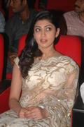 Actress Praneetha in Transparent Saree Photos